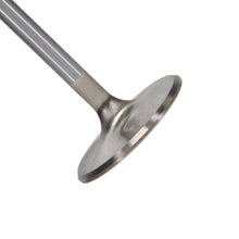 Load image into Gallery viewer, Manley-99-12-Ford-V8-4.6L281-5.4330-45.5Mm-Race-Series-Stainless-Steel-Intake-Valves-(Set-Of-8)