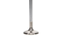 Load image into Gallery viewer, Manley-99-10-Dodge-Viper-1.600In-Diameter-5.770In-Length-Race-Master-Exhaust-Valve-(Single)