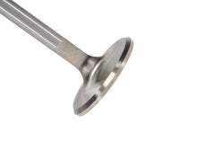 Load image into Gallery viewer, Manley-Valve---Intake,-Valve-Vw-RM-42Mm
