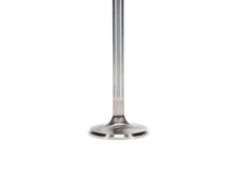 Load image into Gallery viewer, Manley-Valve---Exhaust,-Valve-Vw-RM-37.5Mm