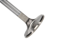 Load image into Gallery viewer, Manley-Valve---Exhaust,-Valve-Vw-RM-37.5Mm