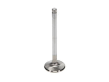 Load image into Gallery viewer, Manley-Valve---Exhaust,-Valve-Vw-RM-37.5Mm