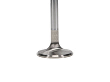 Load image into Gallery viewer, Manley-Valve---Exhaust,-Valve-Vw-RM-37.5Mm