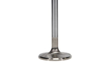 Load image into Gallery viewer, Manley-Vw-Rabbit-Stainless-40.5Mm-Race-Master-Intake-Valves-(Set-Of-4)