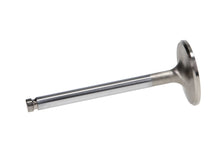 Load image into Gallery viewer, Manley-Valve---Intake,-Valve-Vw-Rab-RM-40.5Mm