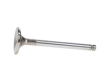 Load image into Gallery viewer, Manley-Valve---Exhaust,-Valve-Vw-Rab-RM-34Mm