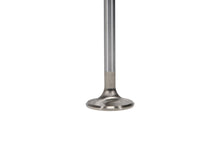 Load image into Gallery viewer, Manley-Valve---Exhaust,-Valve-Vw-Rab-RM-34Mm