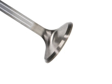 Load image into Gallery viewer, Manley-Chrysler-Hemi-6.1L-W-Triple-Groove-1.595In-Race-Flo-Exhaust-Valves-(Set-Of-8)