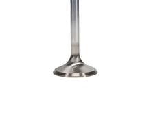 Load image into Gallery viewer, Manley-Chrysler-Hemi-6.1L-W-Triple-Groove-1.595In-Race-Flo-Exhaust-Valves-(Set-Of-8)