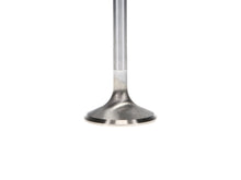 Load image into Gallery viewer, Manley-Valve---Exhaust,-Valve-Hemi-6.1-RM-1.595-BL