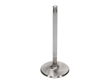 Load image into Gallery viewer, Manley-Chrysler-Hemi-6.1L-W-Triple-Groove-2.100In-Race-Flo-Intake-Valves-(Single-Valve)