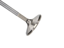 Load image into Gallery viewer, Manley-92-00-Acura-Integra--99-00-Honda-Civic-16-Valve-33.0Mm-Race-Flo-FF-Intake-Valve-(Single)