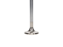 Load image into Gallery viewer, Manley-Extreme-Duty-Stainless-Steel-Exhaust-Valves-1.600,-.100---Set-Of-8