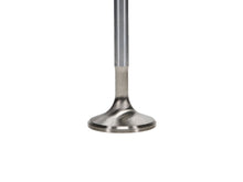Load image into Gallery viewer, Manley-Severe-Duty-Stainless-Steel-Exhaust-Valves-Chrysler-V8-1.600---Set-Of-8