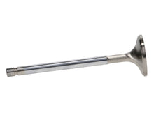 Load image into Gallery viewer, Manley-Valve---Exhaust,-Valve-RF-W-2-1.600