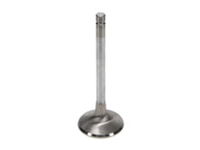 Load image into Gallery viewer, Manley-Valve---Exhaust,-Valve-ED-1.950