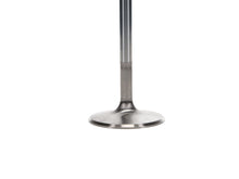 Load image into Gallery viewer, Manley-Valve---Intake,-Valve-Sbc-PF-2.055