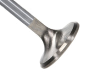 Load image into Gallery viewer, Manley-Severe-Duty-Series-Small-Block-Chevy-Stainless-Steel-Exhaust-Valves---Set-Of-8