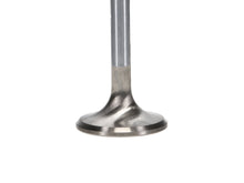 Load image into Gallery viewer, Manley-Valve---Exhaust,-Valve-SD-1.600,.200
