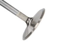 Load image into Gallery viewer, Manley-Valve---Intake,-Valve-Bbf-RM-2.400