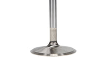 Load image into Gallery viewer, Manley-Valve---Intake,-Valve-Bbf-RM-2.400