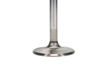 Load image into Gallery viewer, Manley-Valve---Intake,-Valve-Fd-2.3L-RM-1.890