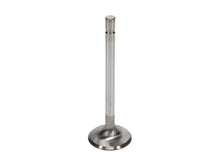 Load image into Gallery viewer, Manley-Valve---Exhaust,-Valve-Fd-2.3L-RM-1.590