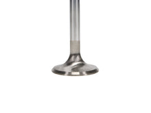 Load image into Gallery viewer, Manley-Valve---Exhaust,-Valve-Fd-2.3L-RM-1.590