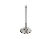 Load image into Gallery viewer, Manley-Ford-351C-2.190-Inch-Head-Diameter--.341-Inch-Stem--5.244-Inch-Length-(-Set-Of-8)