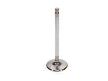 Load image into Gallery viewer, Manley-Valve---Exhaust,-Valve-Chry-440-1,1.810
