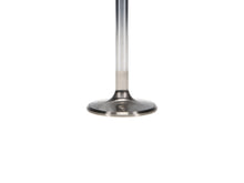 Load image into Gallery viewer, Manley-Valve---Exhaust,-Valve-Chry-440-1,1.810
