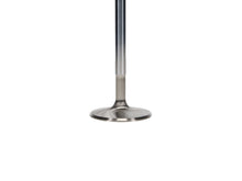 Load image into Gallery viewer, Manley-Valve---Exhaust,-Valve-Bbc-PF-1.725