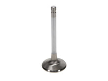 Load image into Gallery viewer, Manley-Valve---Exhaust,-Valve-ED-1.950