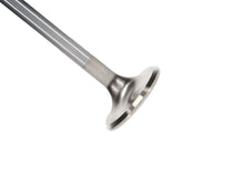 Load image into Gallery viewer, Manley-Valve---Exhaust,-Valve-Chry-PF-1.740