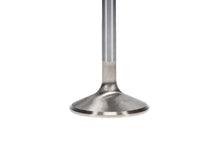 Load image into Gallery viewer, Manley-Valve---Exhaust,-Valve-SD-1.880,.100