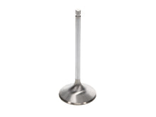Load image into Gallery viewer, Manley-Valve---Intake,-Valve-Hemi-SD-2.250