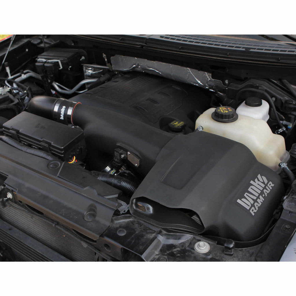 ~(12-Lbs.-22X19x11)~-Ram-Air-Intake-Syst-Dry-Filter---2011-14-Ford-F-150-3.5L-Ecoboost
