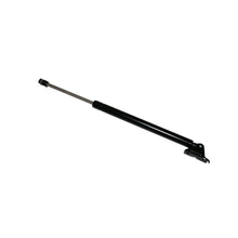 Load image into Gallery viewer, Omix 12012.06 Liftgate Support Strut