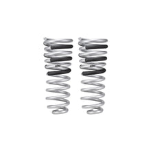Load image into Gallery viewer, 14-21-Ram-2500-Diesel-4Wd-Pro-Truck-Rear-Springs