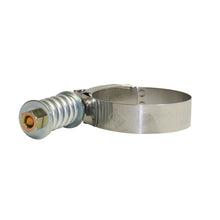 Load image into Gallery viewer, BD Diesel 1405212 BD Constant Tension Hose Clamp High Torque 3.5in