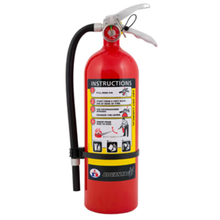 Load image into Gallery viewer, Kidde 21008347 Badger Advantage Fire Extinguisher - 5lb, 3-A:40-B:C