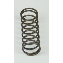 Load image into Gallery viewer, BD Diesel 1500318 Flow-MaX Pump Pressure Spring - 18psi