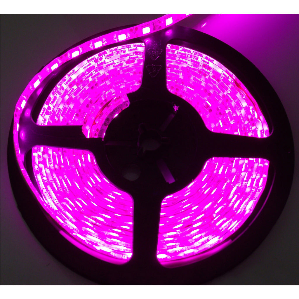16-Ft-(5M)-3528-Led-Solid-Color-Strip---Purple