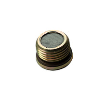 Load image into Gallery viewer, BD Diesel 1601613 Magnetic Drain Plug, Trans Pan &amp; Diff Cover - 3/4x16NF