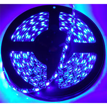 Load image into Gallery viewer, 16Ft-(5M)-5050-Led-Strip-(Blue)---Tape-Strip-Reel-Custom-Lighting-System