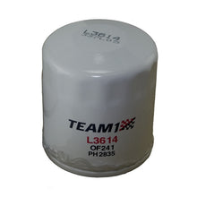 Load image into Gallery viewer, Omix 17436.09 Oil Filter for Select Jeep Liberty, Jeep Wrangler