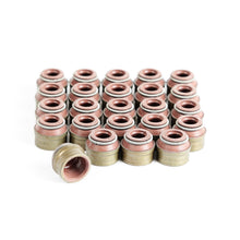 Load image into Gallery viewer, Omix 17443.11 Valve Stem Seal Set for Select Jeep Grand Cherokee, Jeep Wrangler, Jeep Wrangler JK