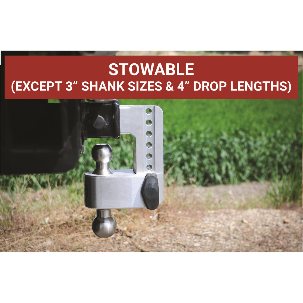 180-Hitch-8In-Drop-Hitch--2In-Shank-(10K12.5K-Gtwr)-WWs05---Aluminum