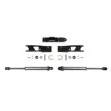 Fabtech FTS8065 STEER STAB HD DUAL DLSS