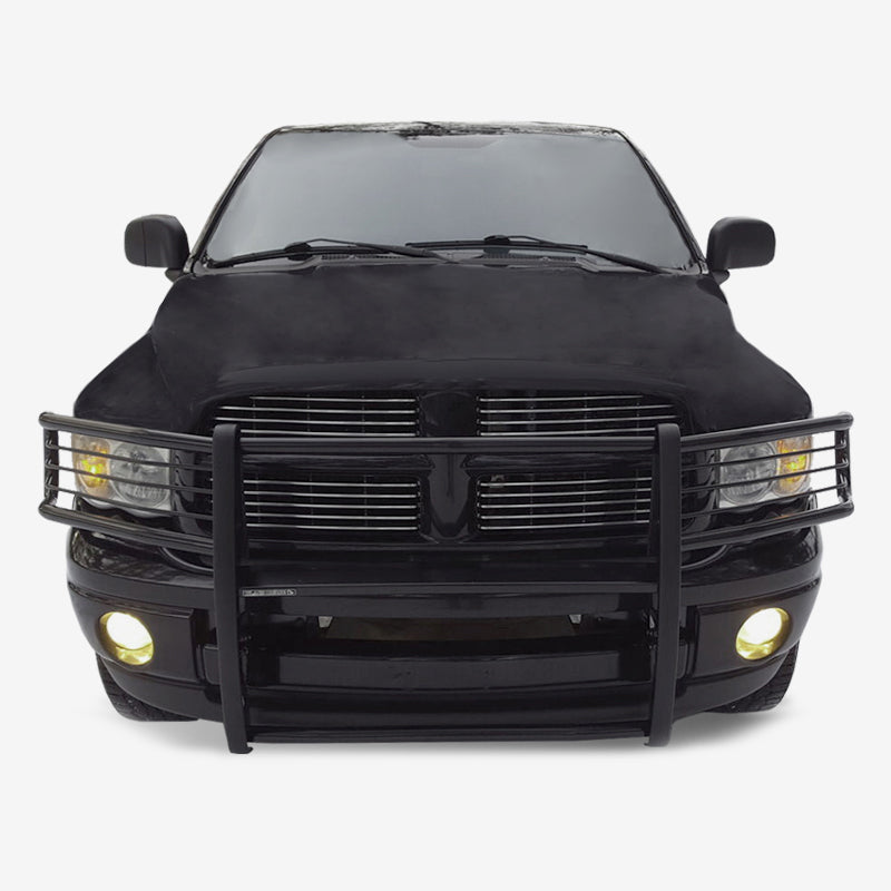 2002-2005-Dodge-Ram-1500-Grille-Gua